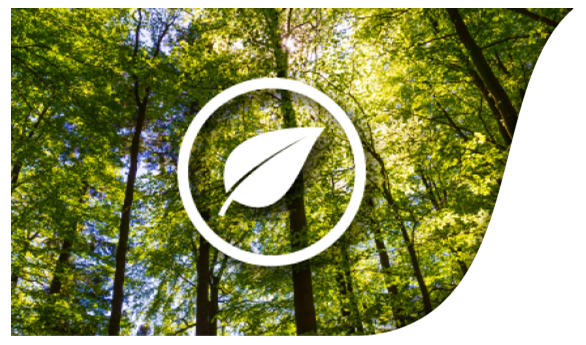 Committed to sustainable solutions