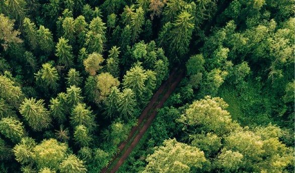  Bona's sustainability report